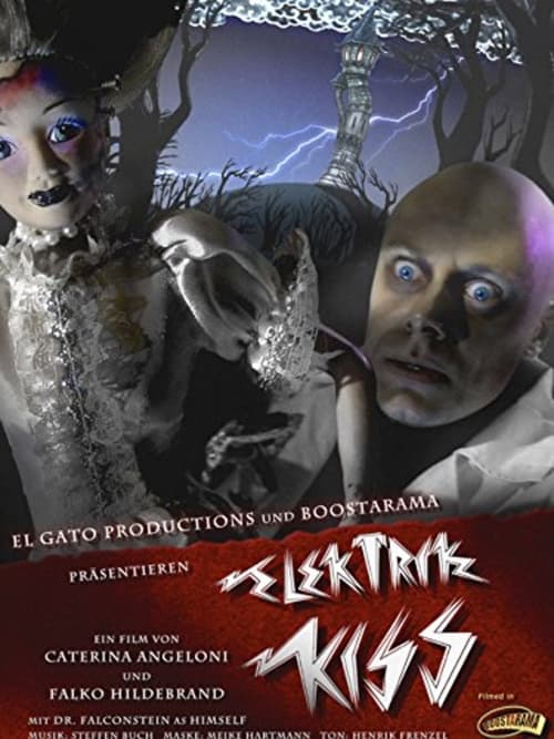 Elektrik Kiss (2010) poster