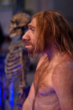 Escena 3 de Prehistoric Autopsy