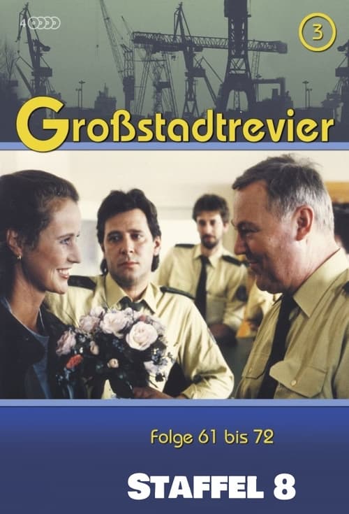 Where to stream Großstadtrevier Season 8