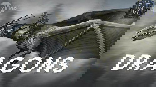 Épisode 1