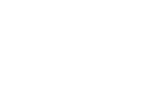 An Ice Palace Romance
