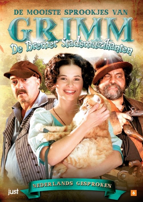 De Bremer Stadsmuzikanten movie poster player