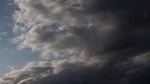 The Rains Backdrop Blur