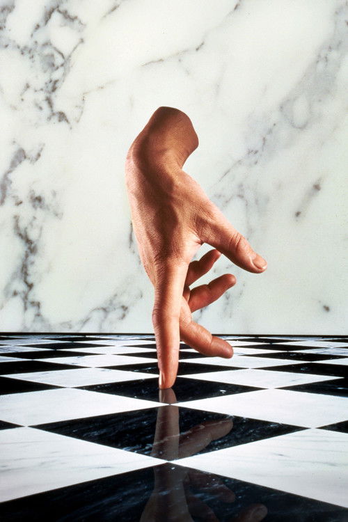 Pòster de Addams Family Collection