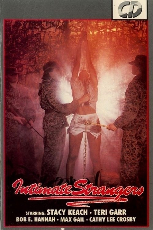 Intimate Strangers (1986) poster