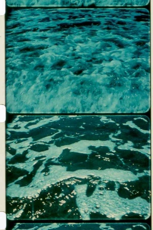 A Child’s Garden and the Serious Sea (1991)