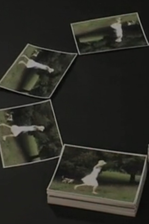 Circulation (2001) poster