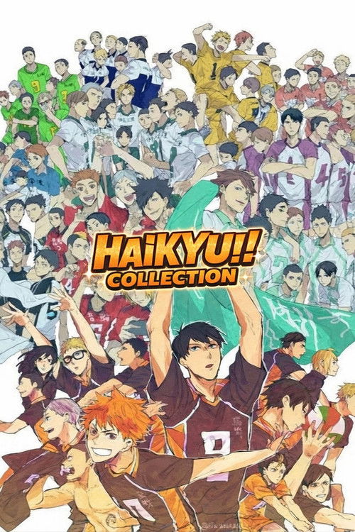 Haikyuu!! OVA Collection poster