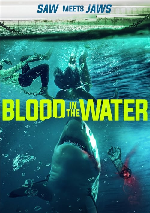 Blood in the Water poster