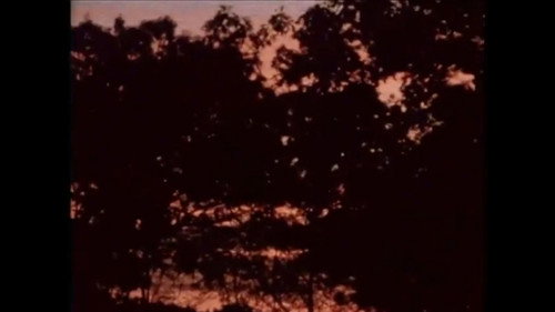 Image du film