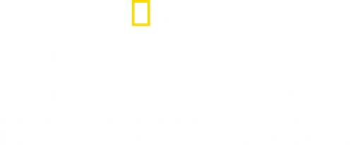 Um Lar na Natureza