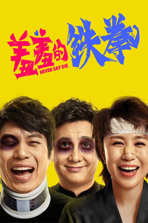 羞羞的铁拳 (2017) poster