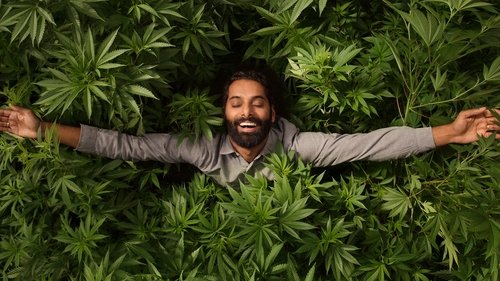 Weediquette