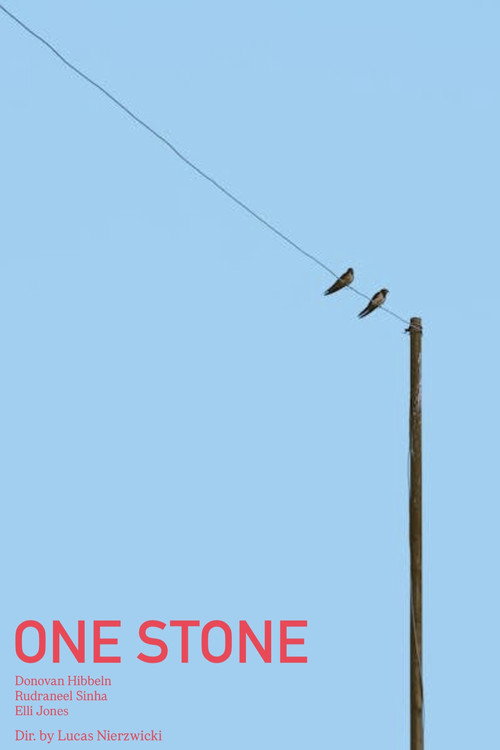 One Stone poster