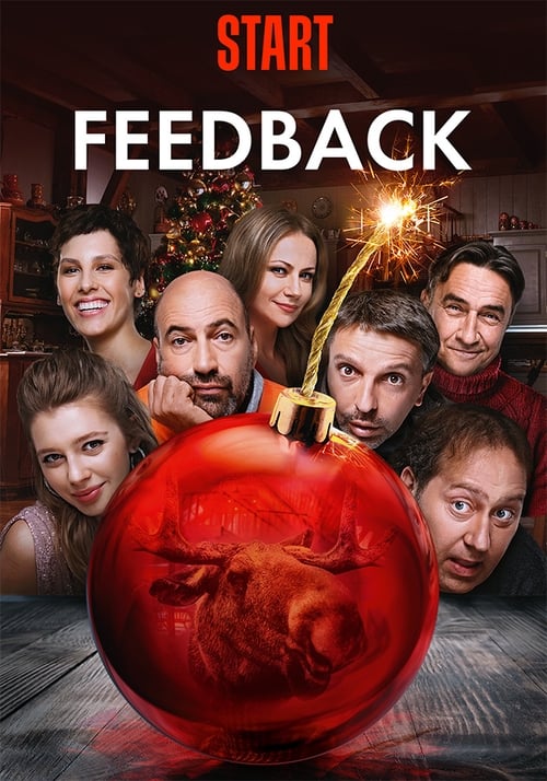 Feedback Movie Poster Image