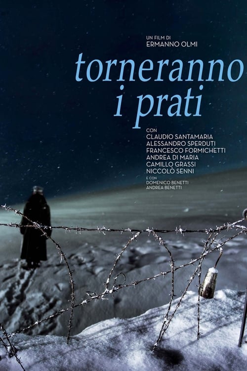 Torneranno i prati (2014) poster