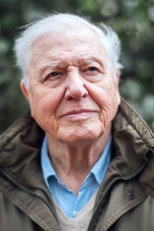 Extinction: The Facts