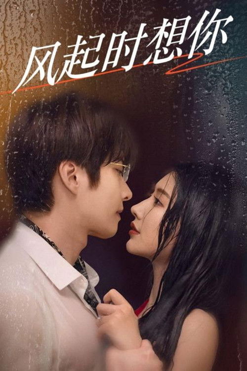 风起时想你