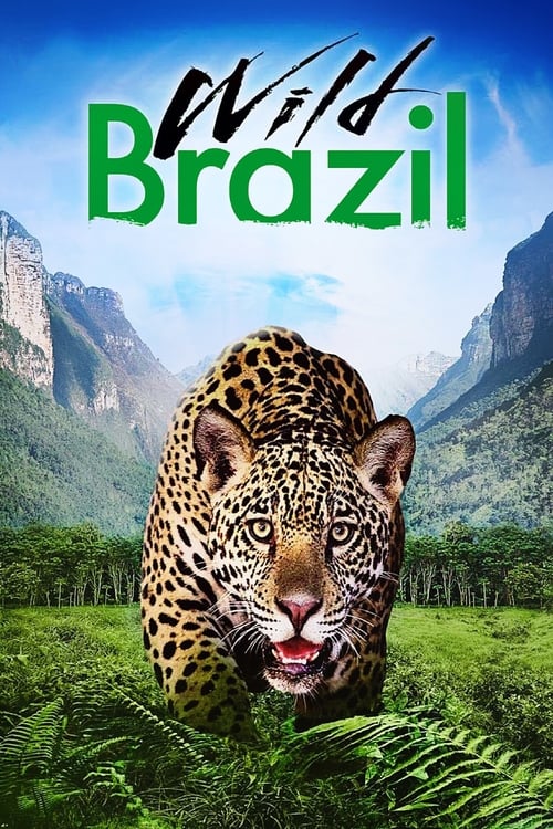 Wild Brazil 2014