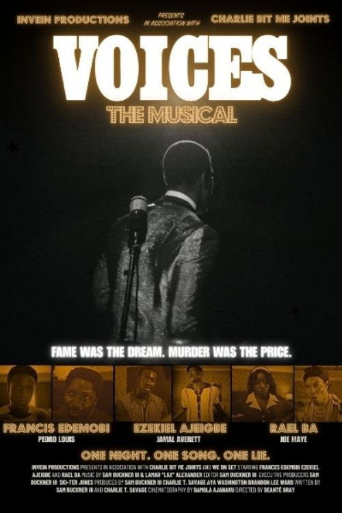 Voices poster