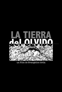 Forgotten Earth poster