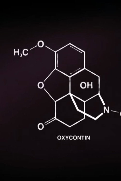 The Opioid Crisis in the U.S. – Business and Addiction