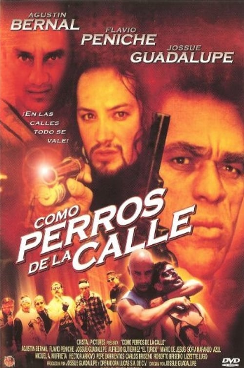 Como Perros de la Calle (2002) poster