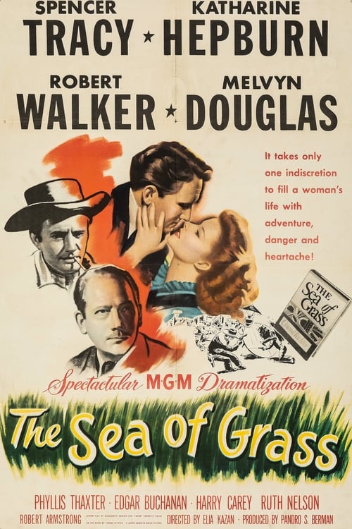 The Sea of Grass poster