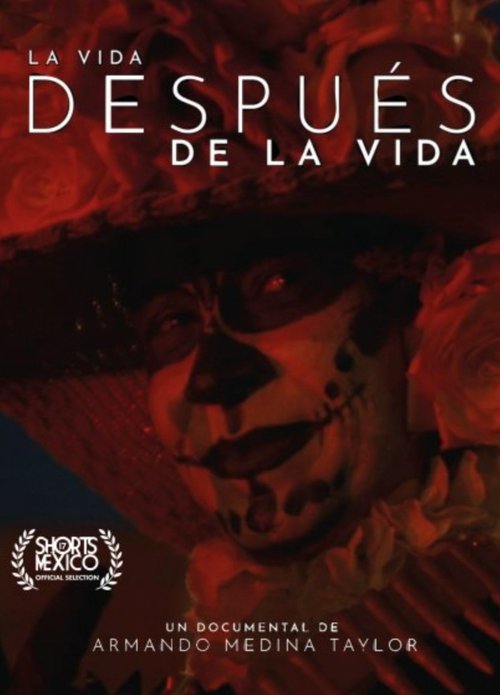 La Vida Después De La Vida poster