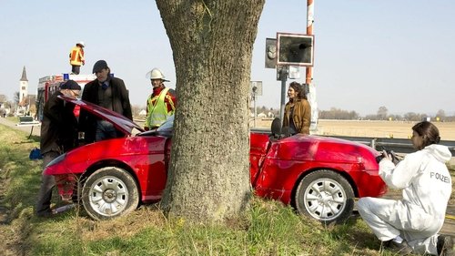 Poster della serie Scene of the Crime