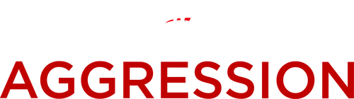 Ruthless Aggression