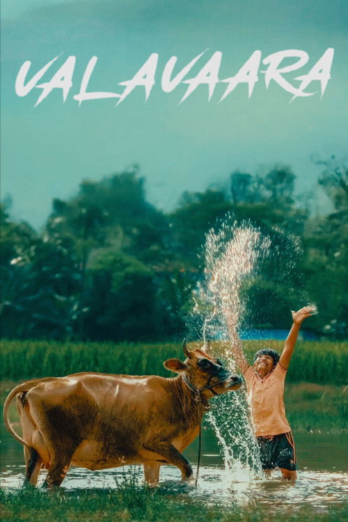 Valavaara poster