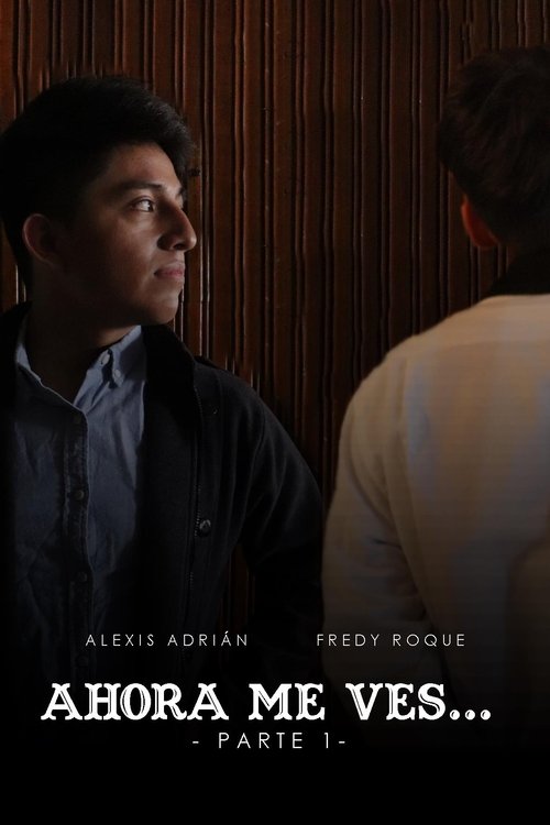 Ahora Me Ves... - Parte 1 movie poster player