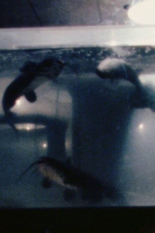 Salt Water movie poster player