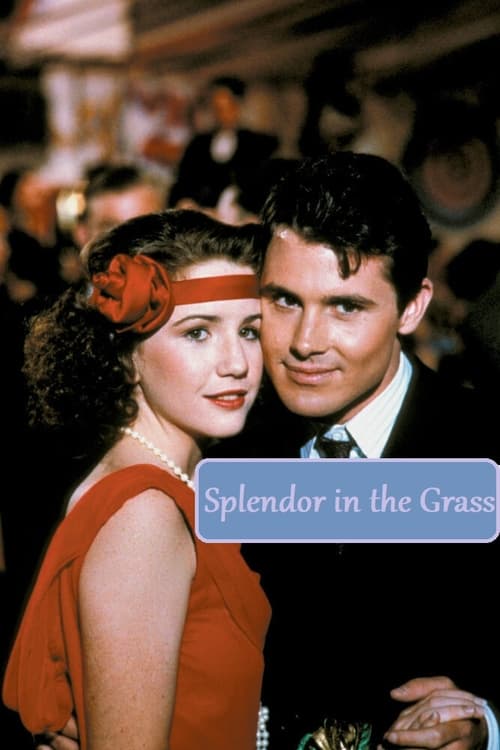 Splendor in the Grass Movie Poster Image