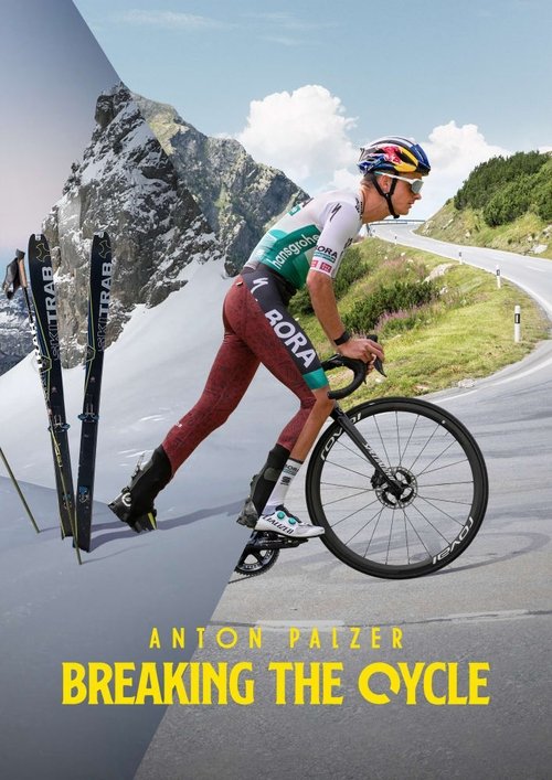 Anton Palzer - Breaking the Cycle poster