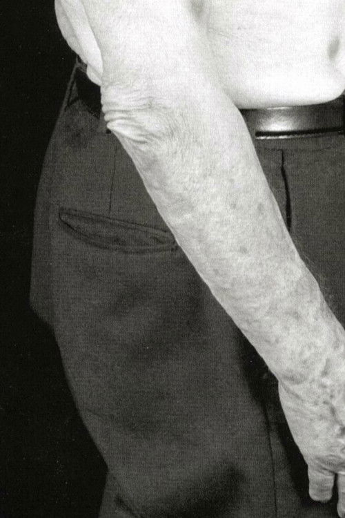 Un perfetto gentiluomo