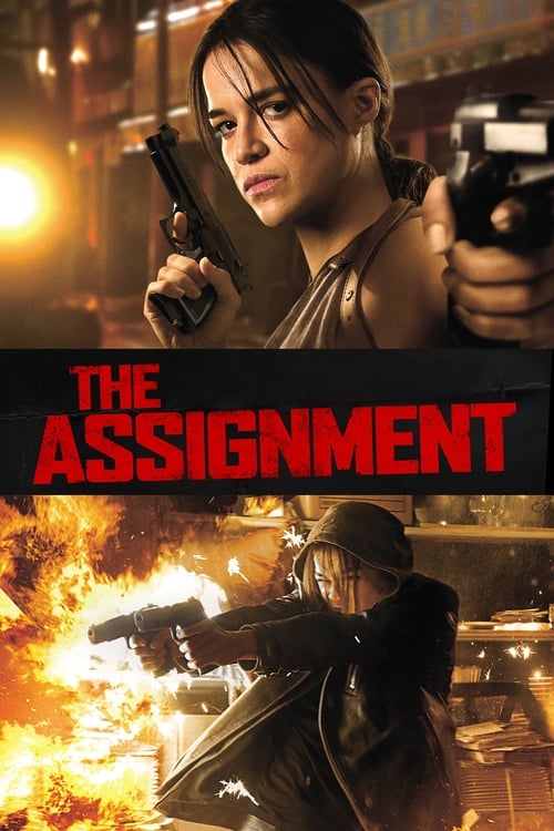 Grootschalige poster van The Assignment