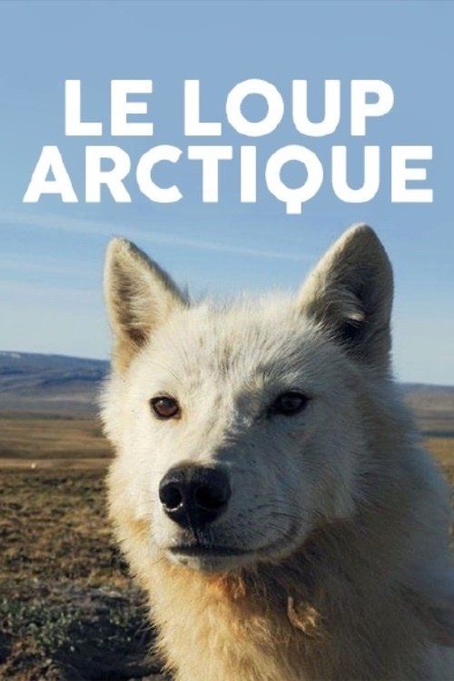 Poster de la saison 1