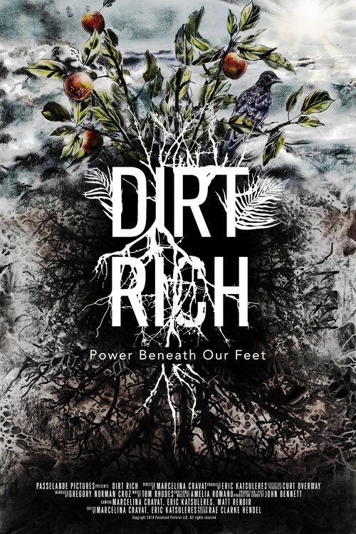 Dirt Rich movie poster player