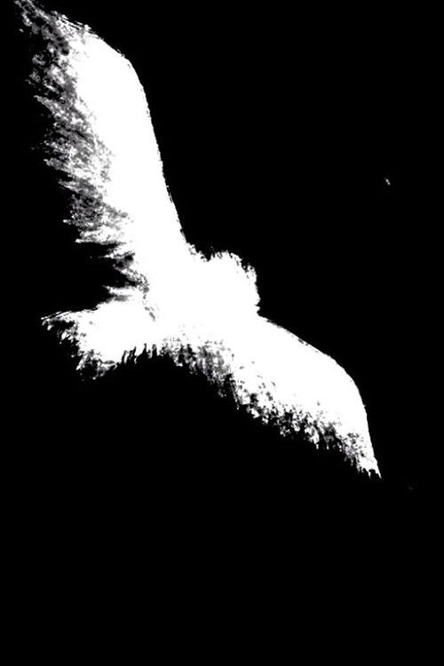 C’era la Luna! poster