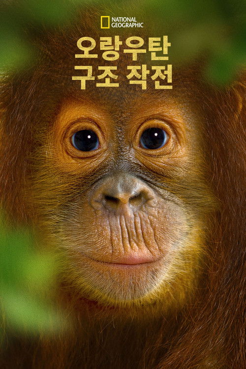 Operation Orangutan poster