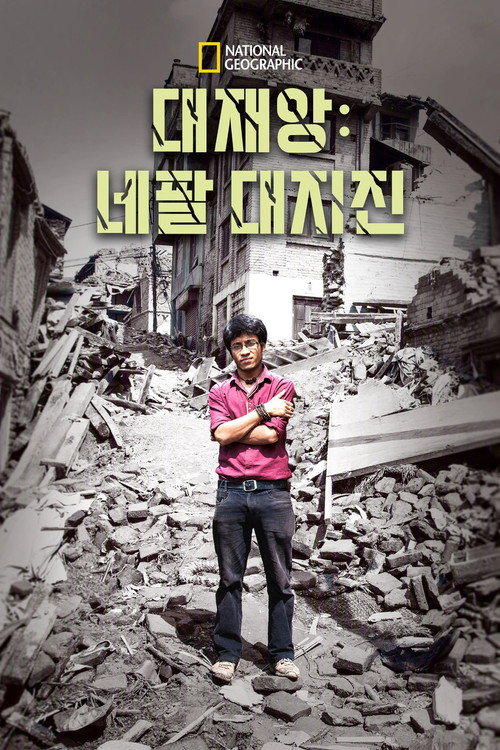 Earthquake On Everest poster