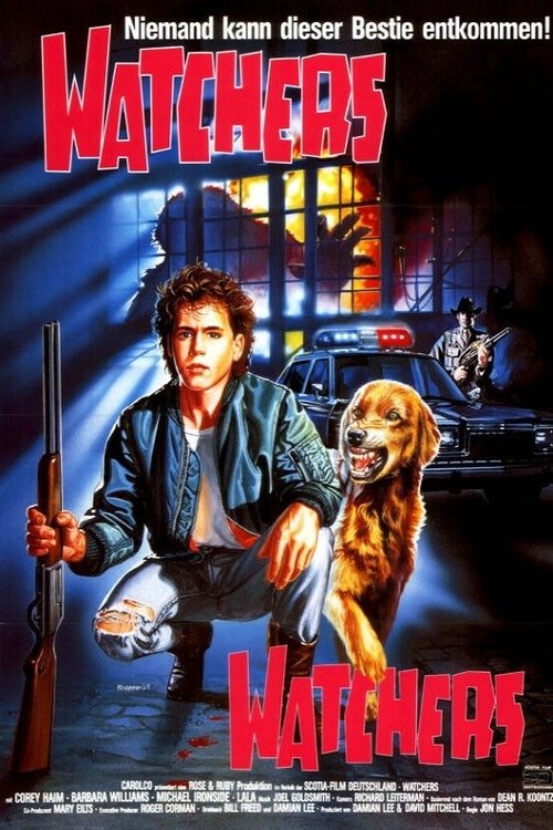 no_movie_cover