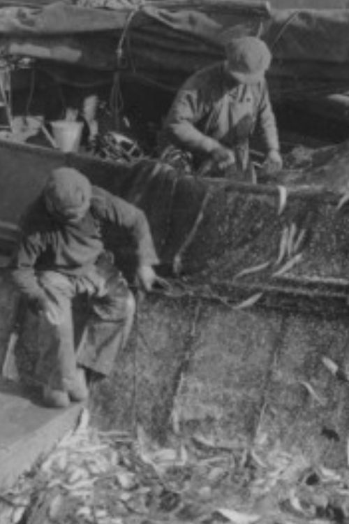 Harderwijkse Palingvissers