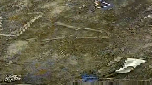 Image de l'épisode 2