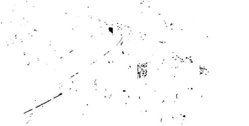 One Night Stand Murder