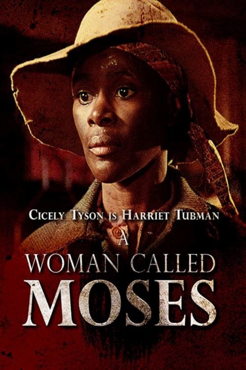 Poster A Woman Called Moses