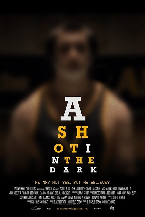 A Shot in the Dark poster