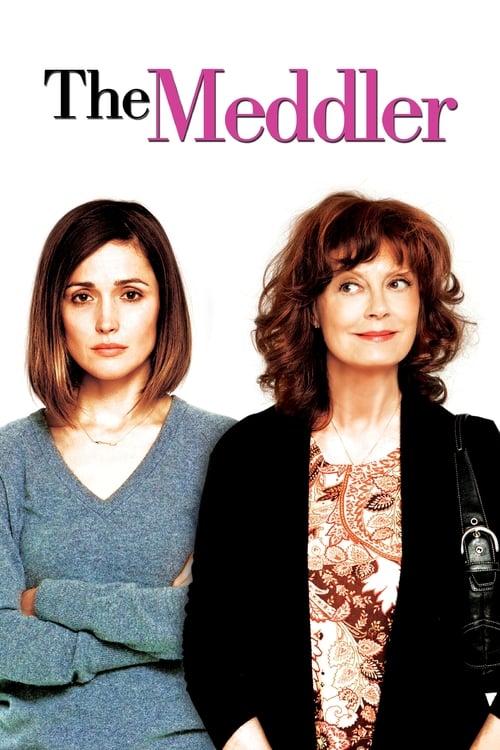 Largescale poster for The Meddler